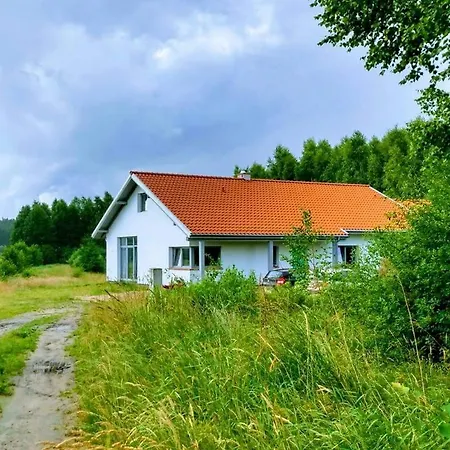Zatoka Zieleni