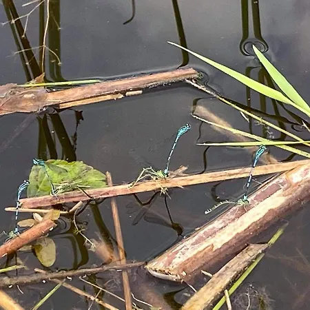 Vakantiehuis Zatoka Zieleni *